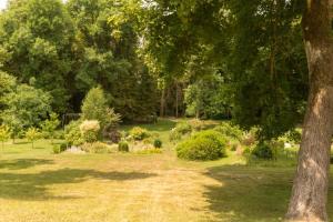 ein Park mit einem Baum und einigen Büschen und Bäumen in der Unterkunft Manderley in Arceau