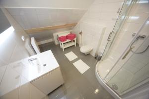 W łazience znajduje się prysznic, toaleta i umywalka. w obiekcie Apartamenty Siklawa Krupówki w Zakopanem