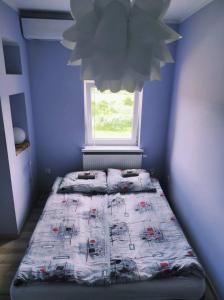 a bedroom with two beds and a window at Agroturystyka "U Źródła" in Milicz