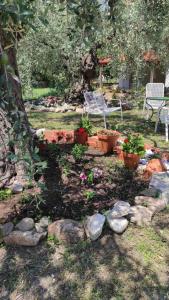 un jardín con un banco y algunas flores y rocas en Elena's Suite en Skala Rachoniou