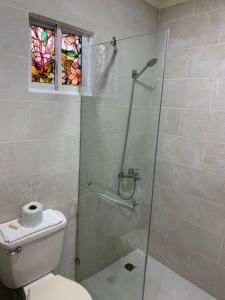 een badkamer met een douche, een toilet en een raam bij Glamour Hotel in La Romana