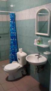 a bathroom with a toilet and a sink at Poilsio namai Šaltinelis in Plateliai