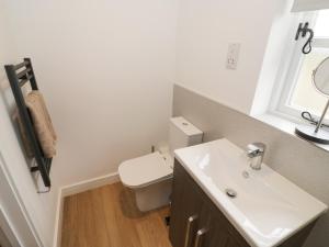 a bathroom with a white sink and a toilet at The Goose Nest in Worcester