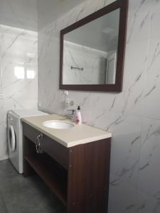 a bathroom with a sink and a mirror and a washing machine at Ailama Guesthouse in Mestia
