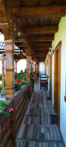 Fotografie z fotogalerie ubytování Casa Vasu v destinaci Rîciu