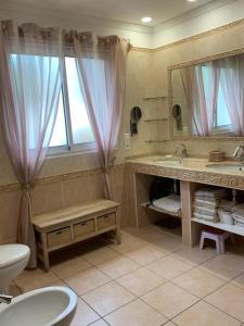 un bagno con lavandino, WC e specchio di Villa proche cap d’agde a Bessan