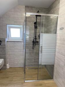 a shower with a glass door in a bathroom at Dom wypoczynkowy FENIX in Werblinia