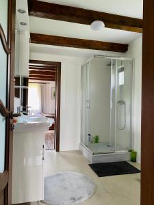 a bathroom with a glass shower and a sink at Casa Vasu 