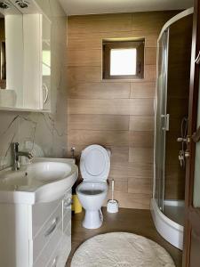 Koupelna v ubytování Casa Vasu