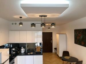Kuchyňa alebo kuchynka v ubytovaní Apartament Pileckiego