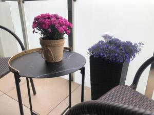 Fotografia z galérie ubytovania Apartament Pileckiego v destinácii Suwałki