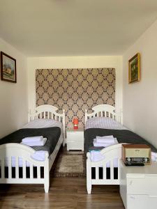 Postel nebo postele na pokoji v ubytování Casa Vasu
