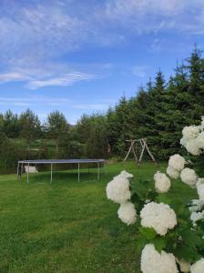 Gallery image of Poilsio namelis Plateliai in Plateliai +50 photos