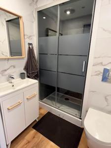 a bathroom with a shower and a toilet and a sink at Superbe appartement Colmar avec vue et Jacuzzi in Colmar