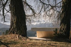 a bench sitting between two trees on a hill at anders mountain suites 6 in Brixen