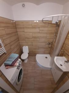 uma casa de banho com um lavatório e uma máquina de lavar roupa em apartament typu agro z tarasem em Milicz