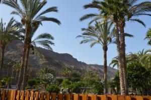 a group of palm trees with a mountain in the background at Villas de Taurito in Taurito