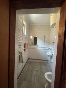 a bathroom with a toilet and a sink at Prenociste Pecinci in Pećinci +13 photos