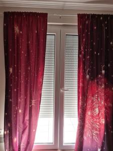 Mynd úr myndasafni af Divcibare apartmani Gavrić í Divčibare