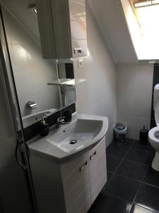 A bathroom at Bor-Vendégház