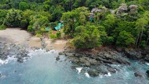 an aerial view of a beach with trees and water at Corcovado Adventures in Drake