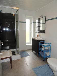 ein Bad mit einer Dusche und einem Waschbecken in der Unterkunft B&B Die Alte Scheune in Manderfeld