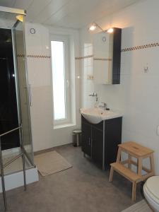 a bathroom with a sink and a shower and a toilet at B&B Die Alte Scheune in Manderfeld