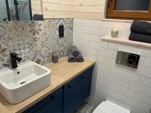 een badkamer met een wastafel en een toilet bij Oslo N°29 Domek Letniskowy in Borsk