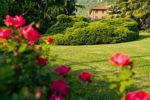 a garden with red flowers in the grass at Villa Dervio in Dervio