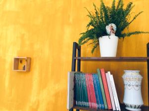 una estantería con una maceta y libros en Da Coco e Mini,l'angolo per ceramiste in viaggio -, en Faenza