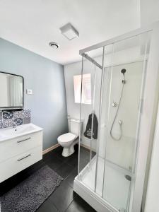 ein Bad mit einer Dusche und einem WC in der Unterkunft Agréable maison de ville cosy de 122m² + extérieur in Wattrelos