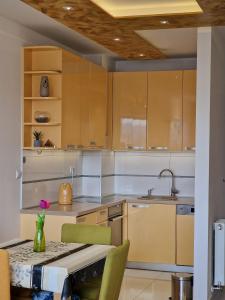 Kuchyň nebo kuchyňský kout v ubytování Apartment Lasta