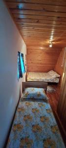 two beds in a room with wooden walls at La cabana bunicului in Sibiu