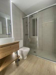 a bathroom with a shower and a toilet and a sink at APARTAMENTOS LA FLORA BURGOS todos con aire acondicionado y ascensor in Burgos +45 photos