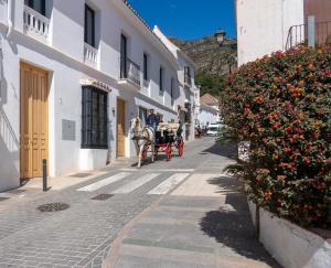 a man riding a horse drawn carriage down a street at OPUNTIA Hotel Boutique in Mijas