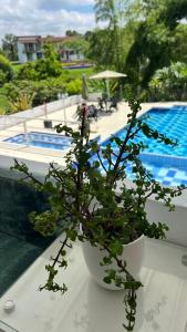 Aw Hotel Acawa Resort & Piscina 부지 내 또는 인근 수영장 전경