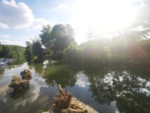 Przyroda w pobliżu tego obiektu B&B