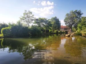 Przyroda w pobliżu tego obiektu B&B