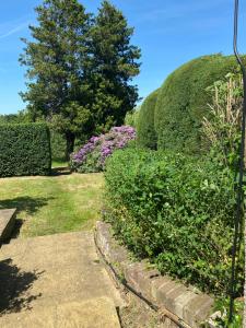 um jardim com belos arbustos paisagísticos e uma passarela em Sunnyhill em Witley