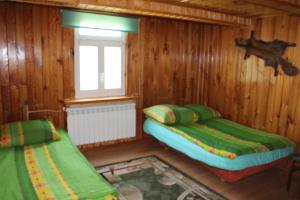 two beds in a room with wooden walls and a window at Eko-Sen in Białowieża