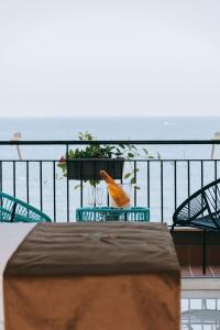 un balcone con tavolo, sedie e piante di FronteMare Suite a Castellammare di Stabia