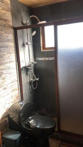 a bathroom with a toilet and a shower at Cabaña Recinto Valle Las Trancas in Recinto