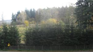 Billede fra billedgalleriet på Za bukiem i Szklarska Poręba