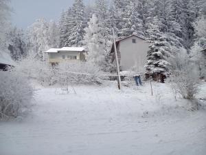 un patio cubierto de nieve con una casa y árboles en Za bukiem, en Szklarska Poręba