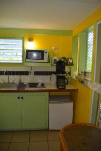 Kuchyň nebo kuchyňský kout v ubytování Palmetto Guesthouse