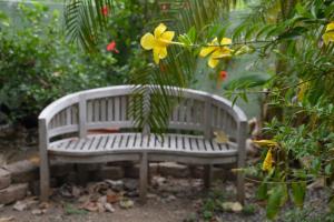 a wooden bench sitting next to a yellow flower at Palmetto Guesthouse in Culebra