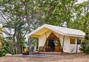 AutoCamp Cape Cod外面的花园