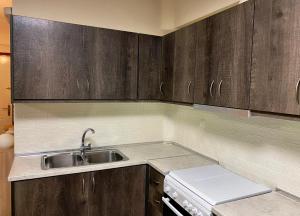 a kitchen with wooden cabinets and a sink at Helen - The Spartan Home in Sparta