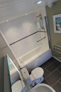 uma casa de banho com um chuveiro, um WC e um lavatório. em Hafoty Farm Cottages em Caernarfon
