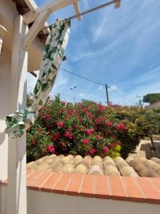 a roof of a house with pink flowers at Sea view front beach apartment deluxe near Nice airport in Cagnes-sur-Mer